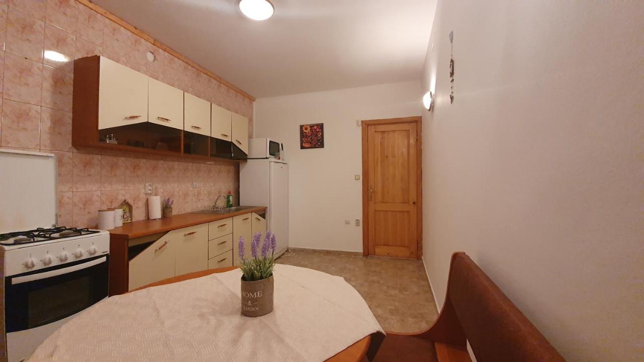 סינאיה Vila Panselutelor 6 מראה חיצוני תמונה
