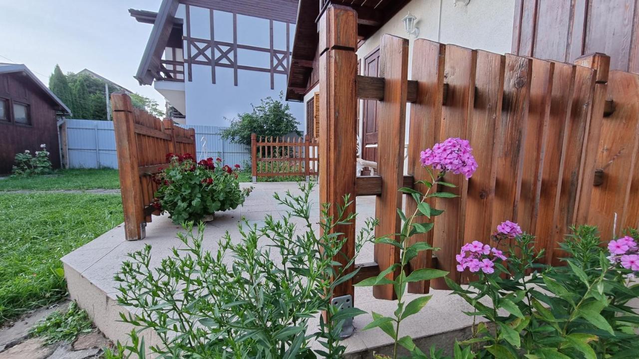 סינאיה Vila Panselutelor 6 מראה חיצוני תמונה